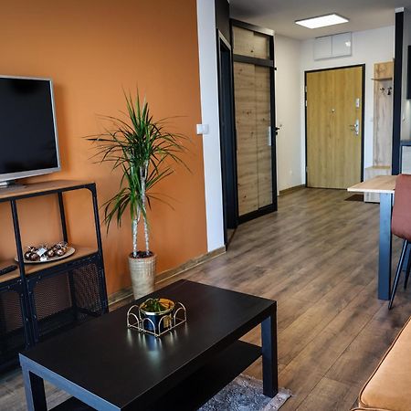 Apartament Ginger - Stare Miasto - Bezplatny Parking - Youtube Apartament Ginger We Wroclawiu Exteriér fotografie
