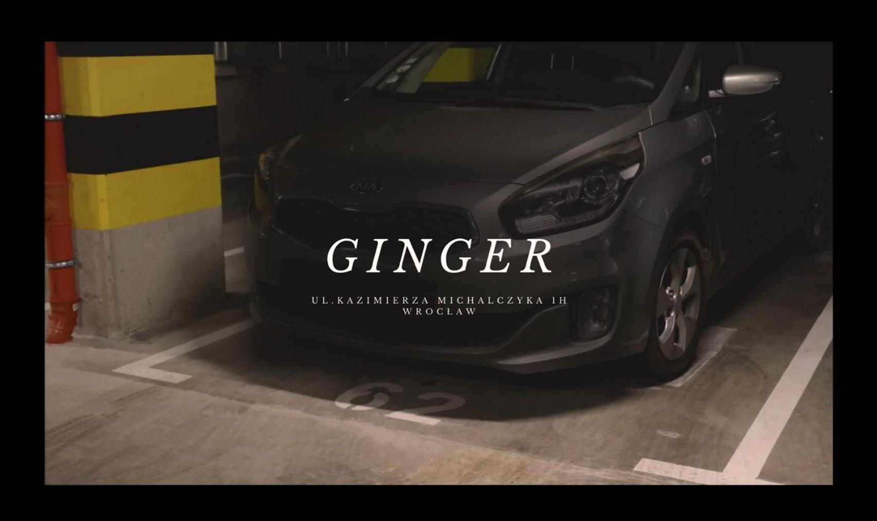 Apartament Ginger - Stare Miasto - Bezplatny Parking - Youtube Apartament Ginger We Wroclawiu Exteriér fotografie